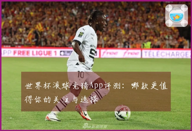 世界杯滚球竞猜App评测：哪款更值得你的关注与选择