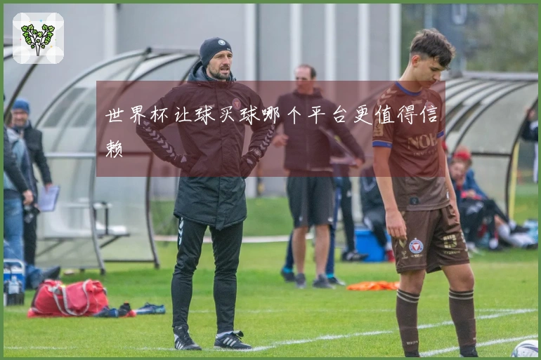 世界杯让球买球哪个平台更值得信赖