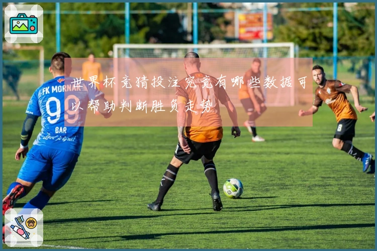 世界杯竞猜投注究竟有哪些数据可以帮助判断胜负走势