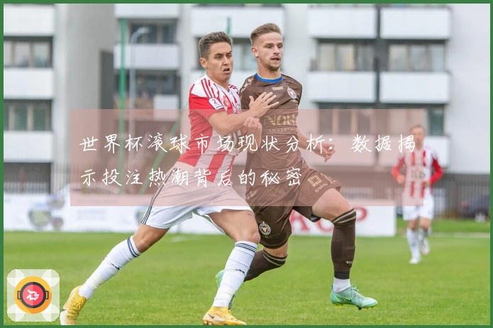 世界杯滚球市场现状分析：数据揭示投注热潮背后的秘密