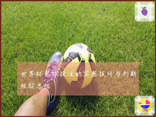 世界杯买球投注的实用技巧与判断经验总结
